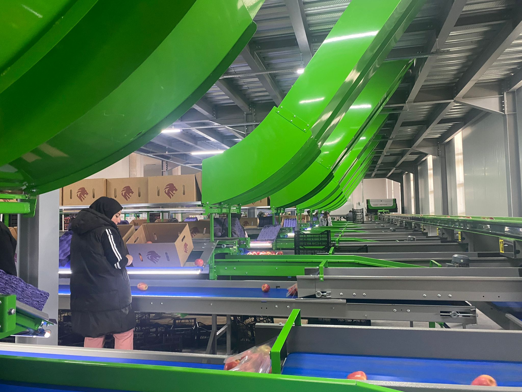 ANKARA GÖLBAŞI  MEYVE İŞLEME TESİSİ